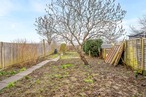 Photo 3- click for photo gallery